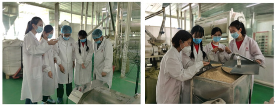 青年紅色筑夢之旅 :燕麥之&ldquo;香&rdquo;,扶傳四方